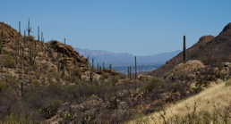 Arizona - Looking Towards Tuscon